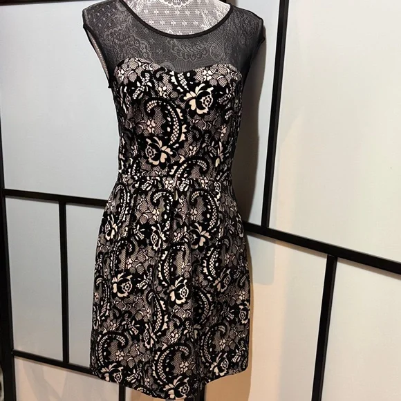 Sweet Storm Black Lace Midi Dress with Cream Underlay - Picture 1 of 5